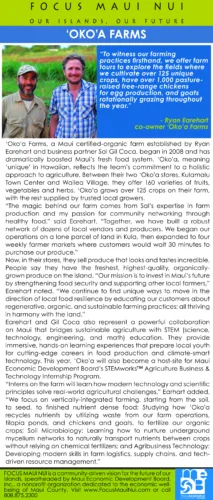 Maui Economic Development Board